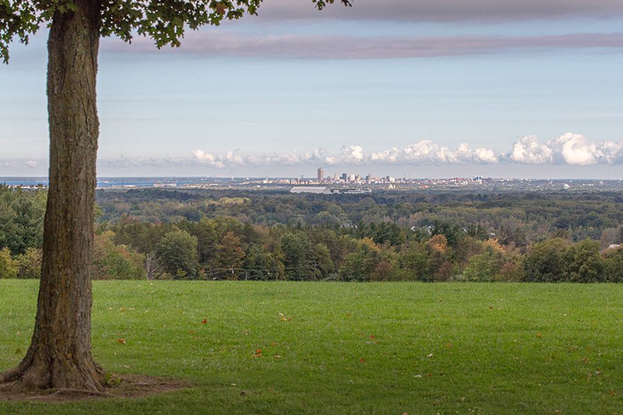 About Our Agency - Landscape View of Buffalo New York From a Distance